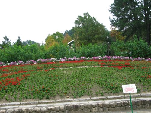 花の文化園の風景2008年11月3日