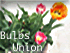 Bulbs Union@oi[
