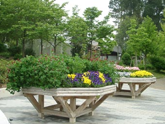 花の文化園高床式花壇