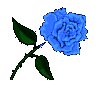 moonlitさんの青い薔薇